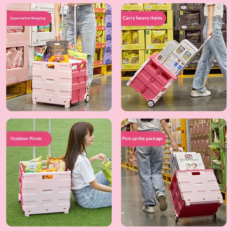 Portable Foldable Shopping Tro - Sports Equipment Trolley 评论和价格