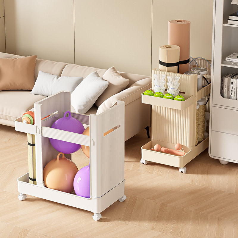 Sports Equipment Storage Rack  - Sports Equipment Trolley 评论和价格
