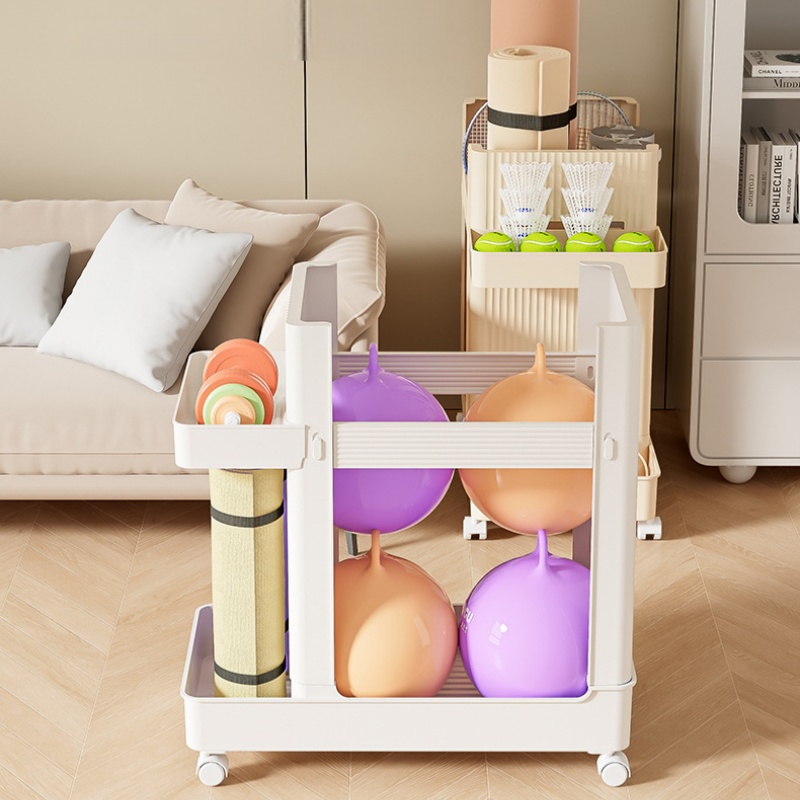 Sports Equipment Storage Rack  - Sports Equipment Trolley 评论和价格